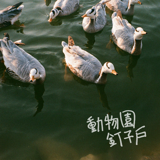 jk♥天堂♥入口
